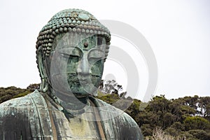 The great bronze buddha sculpture, Kamakura, tokyo, japan