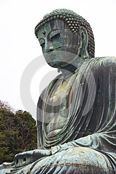 The great bronze buddha sculpture, Kamakura, tokyo, japan