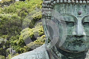 The Great Buddha (Daibutsu) on the grounds of Kotokuin Temple in