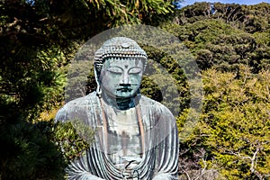 The Great Buddha Daibutsu Kamakura, Japan.