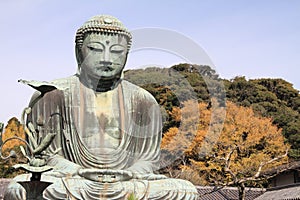 The Great Buddha in Kamakura