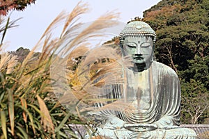 The Great Buddha in Kamakura