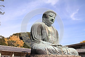 The Great Buddha in Kamakura
