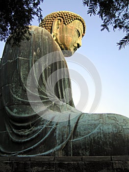 Great Buddha sideview photo