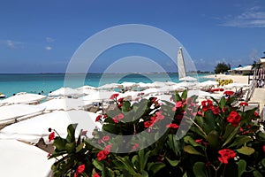Great Cayman Marriott Beach Resort photo
