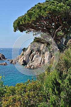 Costa Brava - mediterranien coastline in Spain photo