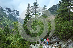 Great Cold Valley summer view (High Tatras, Slovakia).