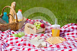 Great concept of pic-nic, pic-nic with fruits and juice on green lawn with beautiful view photo