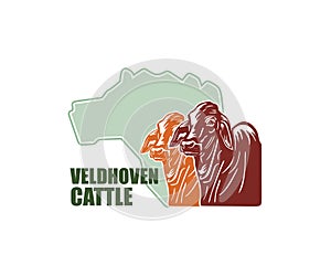 GREAT COW HEAD AND VELDHOVEN MAP LOGO
