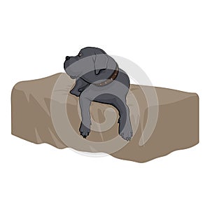 Dog is lying on the bed. Dog breed Great Dane. Gray dog. Stock Vector Illustration.