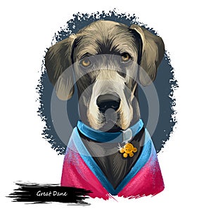 Great Dane, Deutsche Dogge, German Mastiff dog digital art illustration isolated on white background. Germany origin working, photo