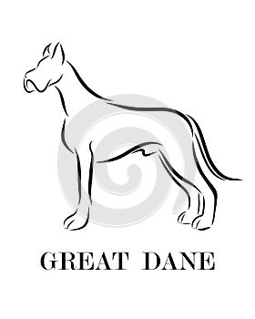 Great Dane dog line art eps 10