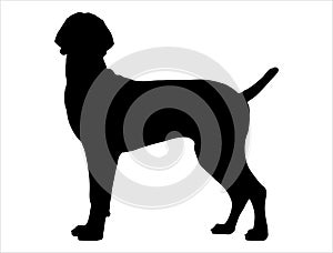 Great dane dog silhouette vector art white background