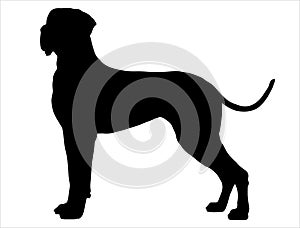 Great dane dog silhouette vector art white background