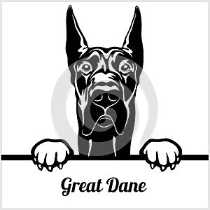 Great Dane - Peeking Dogs - - breed face head isolated on white