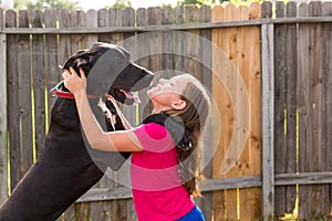 Great dane stand up on kid girl shoulders playing