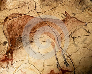 Great deer in the cave painting of Altamira photo