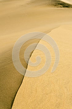 The great desert Dunas de Maspalomas in Gran Canary