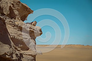 The Great Desert Libya