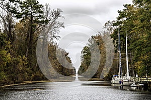 Great Dismal Swamp Canal