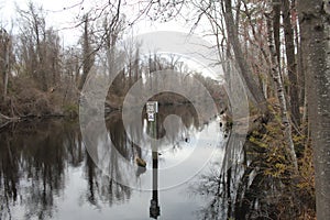 Great Dismal Swamp, North Carolina