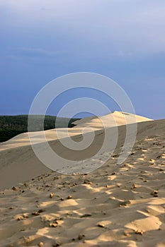 The great dune of Pyla (or Pilat)