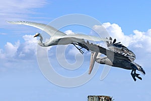 A great egret and a pelican vie for a perch at the island fishing village