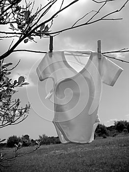 With great expectations