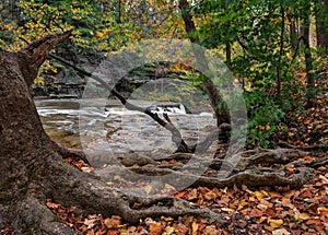 Great Falls of Tinker`s Creek Gorge