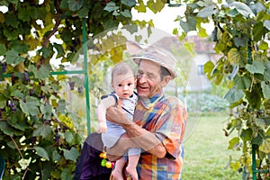 Great-grandfather with nephew photo