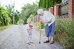 Great grandmother and toddler girl picking flowers in countryside