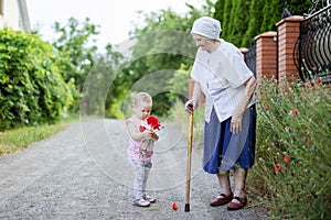 Great grandmother and toddler girl picking flowers in countryside