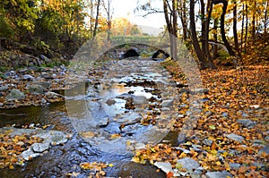 Great Gully stone culvert under bridge above Cayuga Lake FLX photo