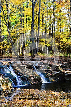 Great Gully waterfall trickle during FingerLakes autumn photo