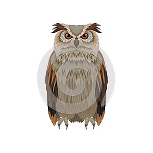 Great horned owl with brown plumage, front view. Large forest bird. Ornithology and fauna theme. Flat vector icon