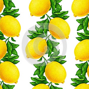 Great illustration of beautiful yellow lemon fruits on a branch with green leaves isolated on white background. Seamless pattern