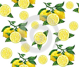 Great illustration of beautiful yellow lemon fruits on white background. Water color drawing of lemon. Seamless pattern