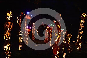 The Great Jack O`Lantern Blaze in Croton-on-Hudson in New York