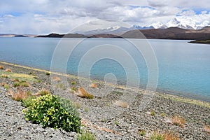 Great lakes of Tibet. Lake Rakshas Tal Langa-TSO in summer in cloudy day