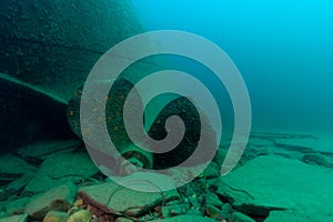 A Great Lakes tugboat shipwreck hull and large prop found in Lake Superior