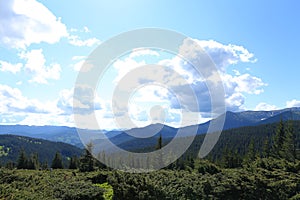 Great landscape of Appenine mountains with fir trees and conifer nature.