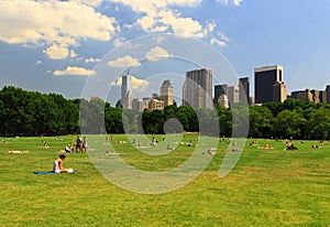 The Great Lawn in Central Park