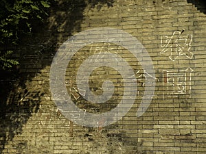 Great Leap Forward Movement