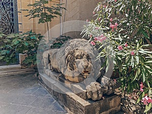 Great Lion in Valetta Malta