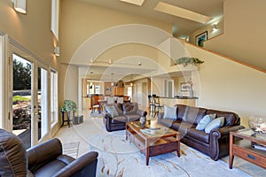 Great living room interior with high vaulted ceiling.