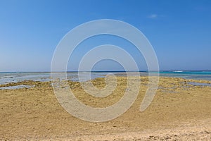 El gran bajo mareas sobre el un sueno en,. el arruinar nivel lejos Costa a charcos de agua de arruinar 