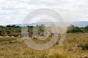 Great Migration with cyclone in Masai Mara National Park