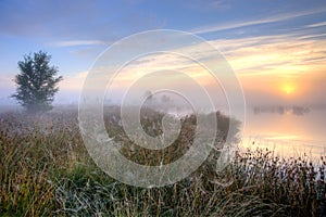 Great misty sunset over swamp