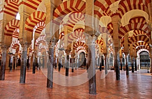 Il grande moschea 