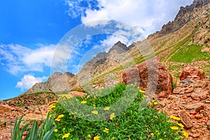 The Great Mountains of Tian Shan